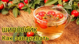 Как заваривать шиповник
