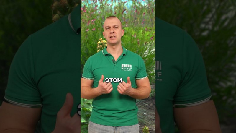 как сэкономить при благоустройстве  #ландшафтныйдизайн #благоустройство