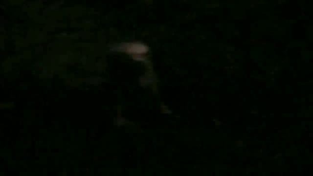 Побег от быков) смотреть онлайн