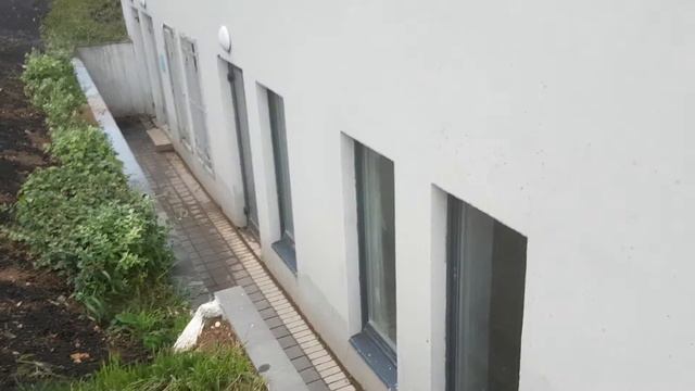 Народного Ополчения 11 смотреть онлайн