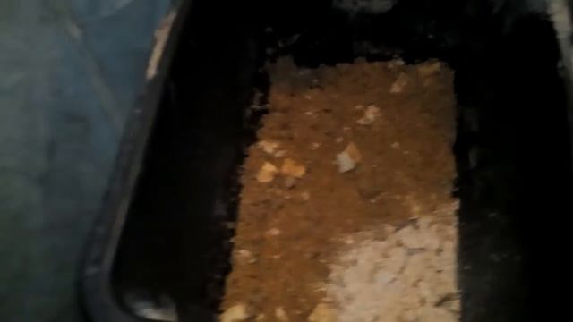 Дрожжевание корма домашней ПТИЦЕ и ЖИВОТНЫМ / субтитры
