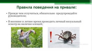 Трансляция| Объединение "Экотуризм"| Правила безопасного поведения в природе