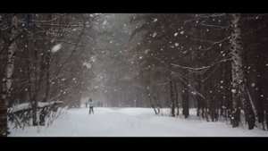 Шелти и русский охотничий спаниель играют в снегу / Sheltie and Russian Spaniel