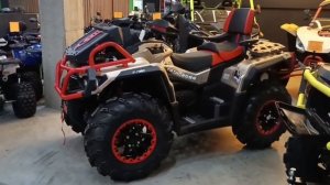 Квадроцикл Aodes Pathcross 1000 Mud Pro красный