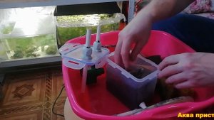 Вскрываю внешний фильтр для аквариума