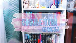 КНИЖНЫЕ ПОЛКИ (2 часть)