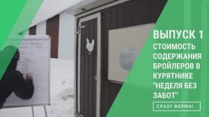 Эффективность выращивания бройлеров в курятнике "Неделя без забот". Посчитаем расходы и прибыль!