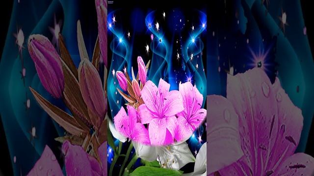 Спокойной ночи! смотреть онлайн