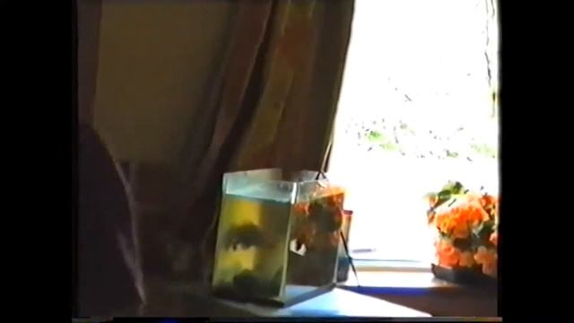 Ирландия# 22 Старое кино серия 2. Быт трудовых мигрантов. смотреть онлайн