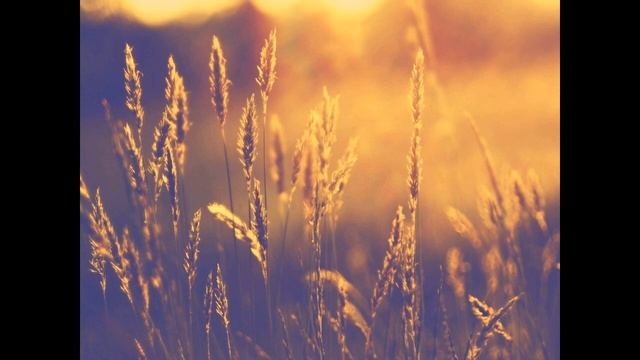 Ченнелинг. Постоянное состояние радости в душе. Кириллова Ирина. смотреть онлайн