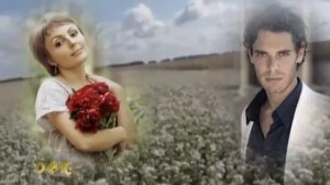 Александр Милкин - Пахнет в поле гречихой несжатой