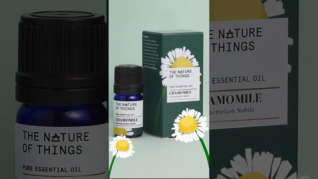 【花草引力嚴選】 自然之事 | 羅馬洋甘菊純精油 | Chamomile Essential Oil