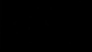 Hollow Knight Intro cutscene