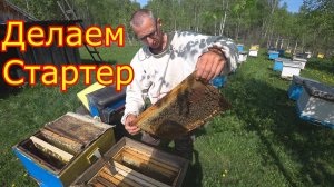 Делаем стартер. Вывод маток 2020