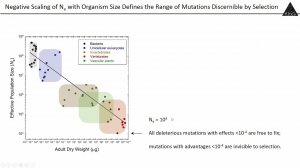 Michael Lynch - Evolution of replication and transcription error rates across the tree of life