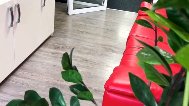 Обзор офисного помещения в Киеве за 3 018$