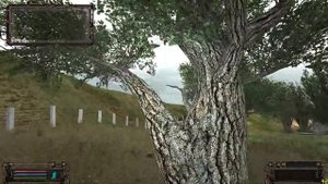 S T A L K E R Тайник Кузнецова на Агропроме на дереве в очаге радиации