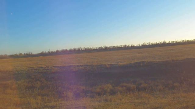 Первый заяц сезона !