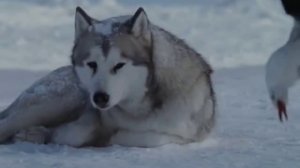 Enigma-Era-Gregorian - Moment Of Peace