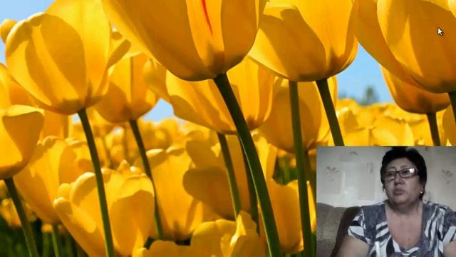 Видеопрезентация смотреть онлайн