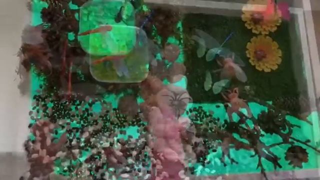 Сенсорная коробка Природа. Световой стол Атолл Кидс. смотреть онлайн