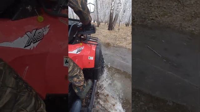 #cfmoto #cfmotox8 #новосибирскаяобласть смотреть онлайн