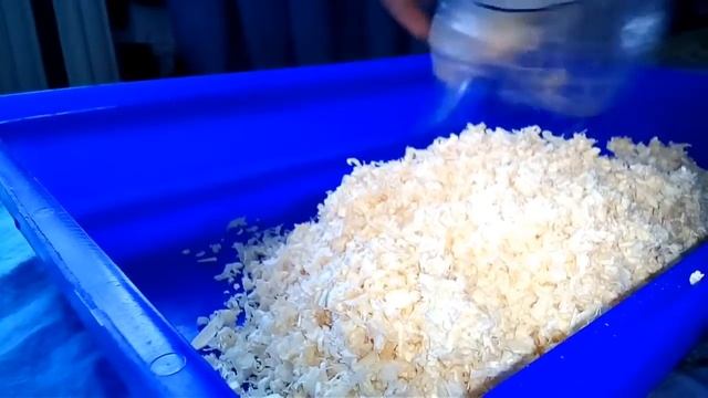 Уборка в клетке хомяка Хомы /Хома CHANNEL смотреть онлайн