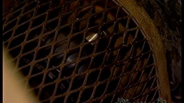 Java Coffee & Tea Company смотреть онлайн