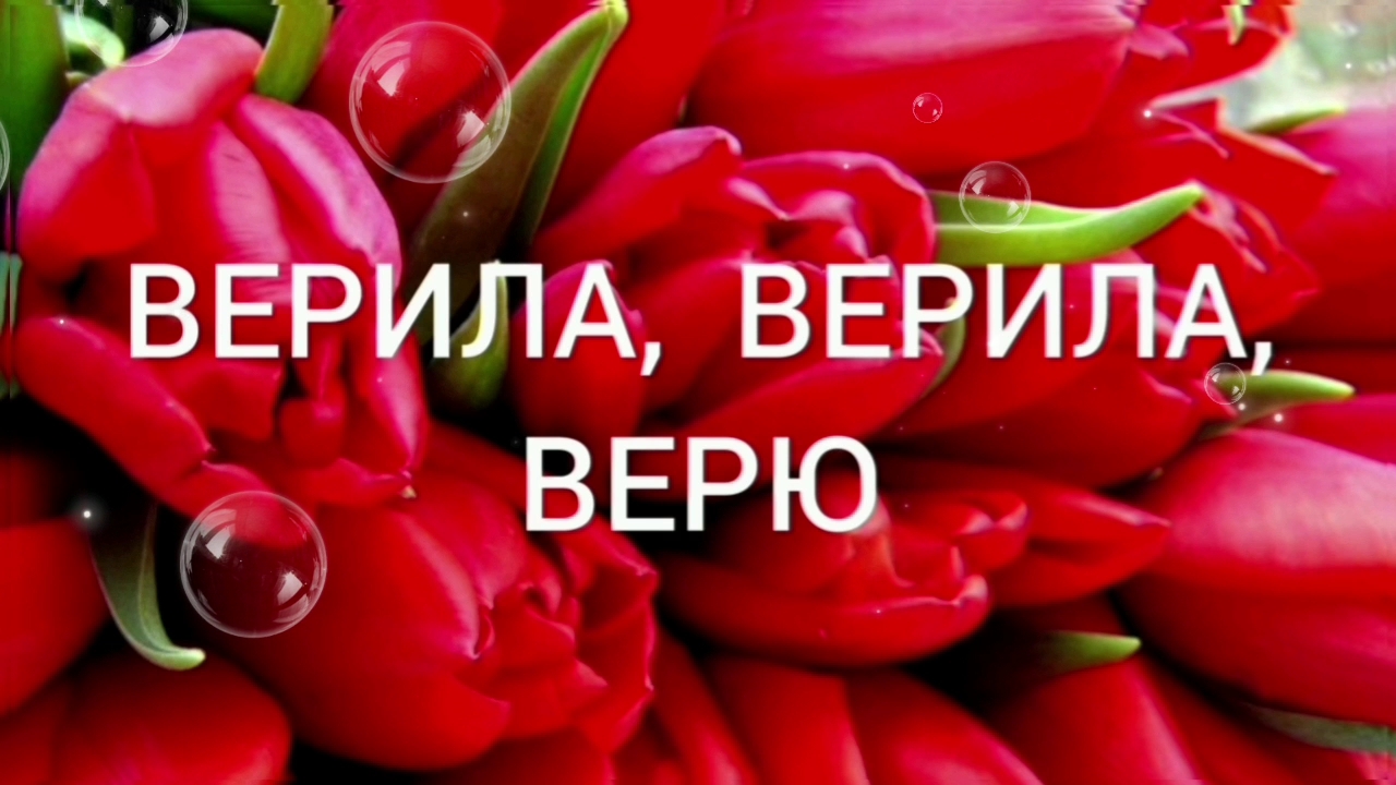 ВЕРИЛА, ВЕРИЛА, ВЕРЮ.