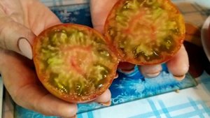 Сорт томата - Лето любви. Очень красивый сорт.