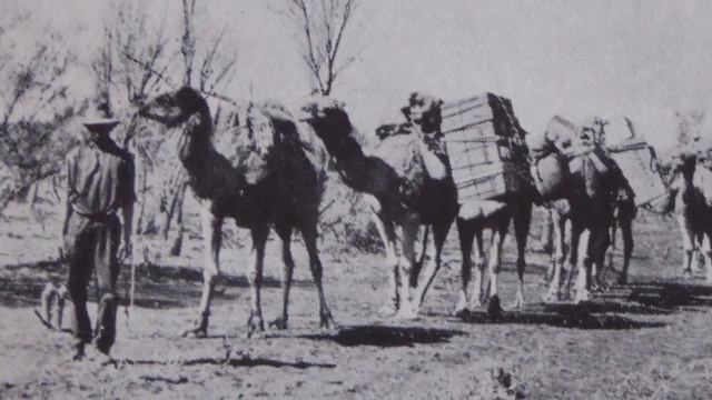 Donald MacKay - Aussie Explorer смотреть онлайн