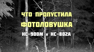 Что пропустила фотоловушка. HC-900M и HC-802A.