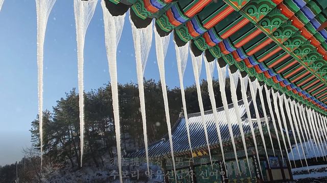 [금강경 21독 12시간 : 영월사 금강스님] 오늘은 성도재일 입니다.