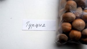 ОРЕХ,ФУНДУК,ОПРЕДЕЛЯЕМ СОРТА. ПОМОГИТЕ!!!)))