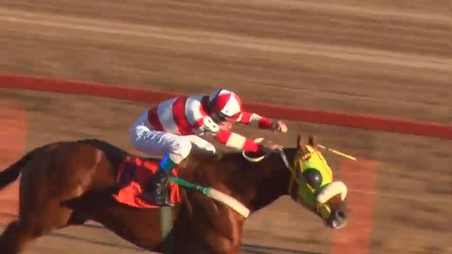 JCRC - 24/04/21 - Car.08 - 1200 mts смотреть онлайн