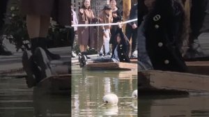 Wet chelsea boots while playing raft