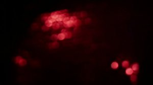 Футаж Боке красный.mp4