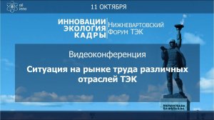 Видеоконференция: "Ситуация на рынке труда различных отраслей ТЭК"