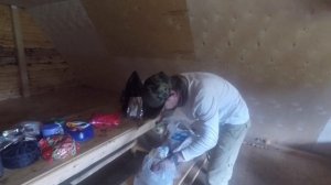 В гостях у крысобелки. Ревизия в балагане на Холодном
