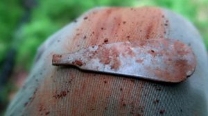 I Found an Arrowhead In The Creek While Out Metal Detecting! | nuggetnoggin