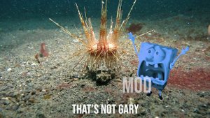 15 Sponge Bob "Screaming Gary" Sound Variations in 45 Seconds | MODIFY EVERYTHING