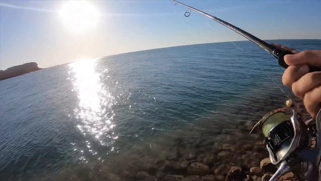 Рыбалка на барракуду и кингфиша в Абу-Даби смотреть онлайн