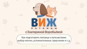 ВИЖ Питомцы Как подготовить питомца к путешествию