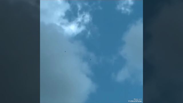 Мои мысли о Николаевских торцовых голубях -2 смотреть онлайн