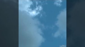 Мои мысли о Николаевских торцовых голубях -2