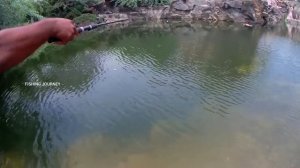 PEARL SPOT FISH CATCH FROM MOUNTAIN POOL | FISHING | கறி மீன்கள் |@FISHINGJOURNEY