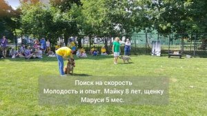 Показательные выступления по Ноузворк для РКФ клуб Догсити