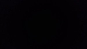 Украинская народная песня. "Ой, ты дивчина"