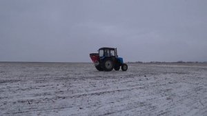 Зачем так рано? Подкормка озимой пшеницы РУМ селитрой.