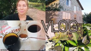VLOG : ДЕЛАЕМ ФАСАД ДОМА 🏡ПОРА ПЕРЕСАЖИВАТЬ ГОРТЕНЗИИ И РОЗЫ🌺🌹 #буднимамы #влог #моибудни